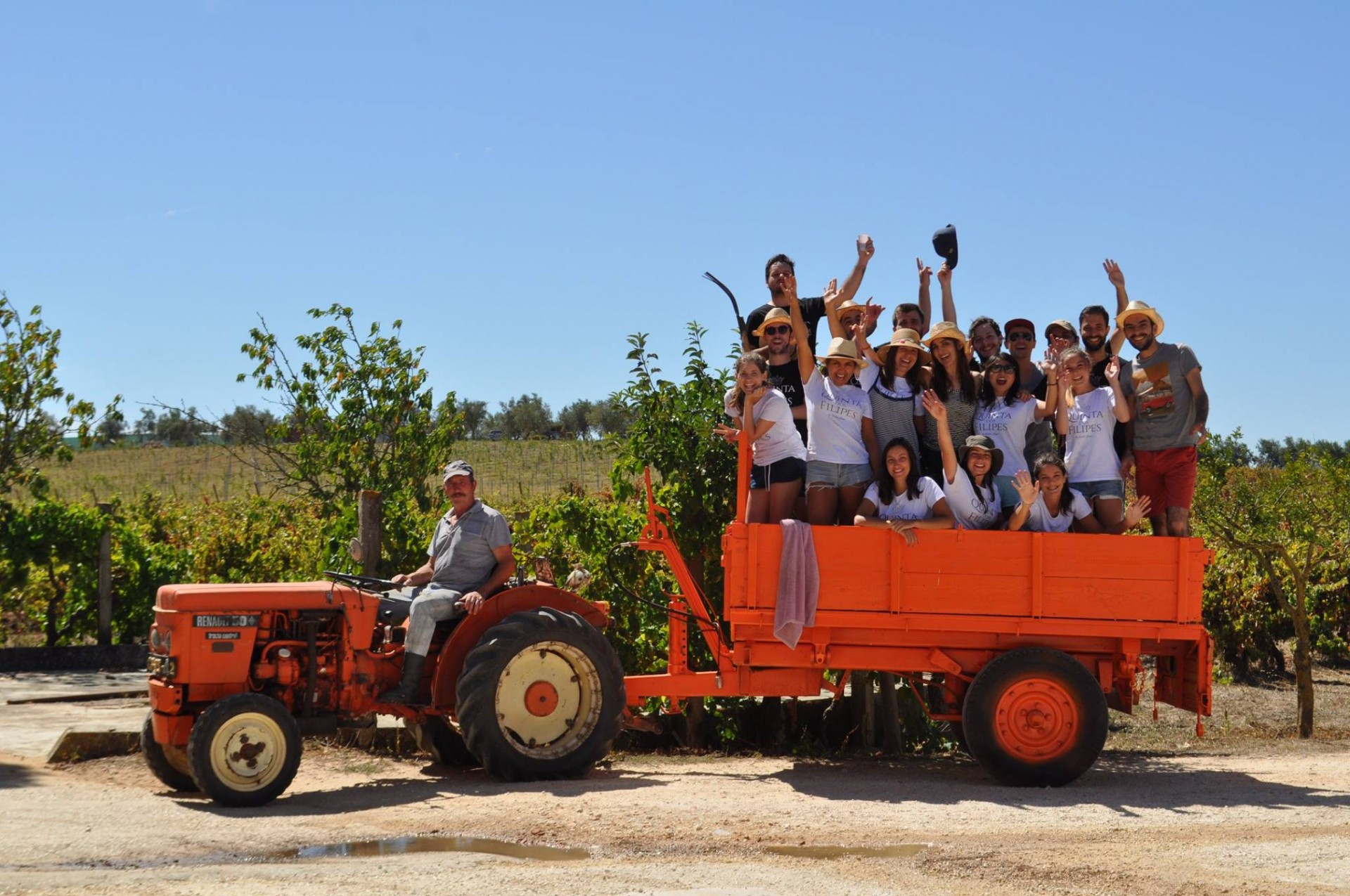 6 Activities to try in Lisbon Lisboa Cool