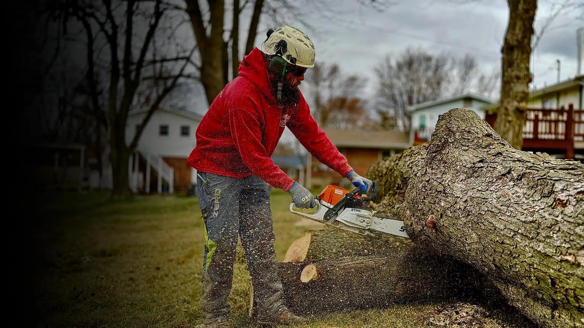 Tree Services Gallery Missouri Tree Services
