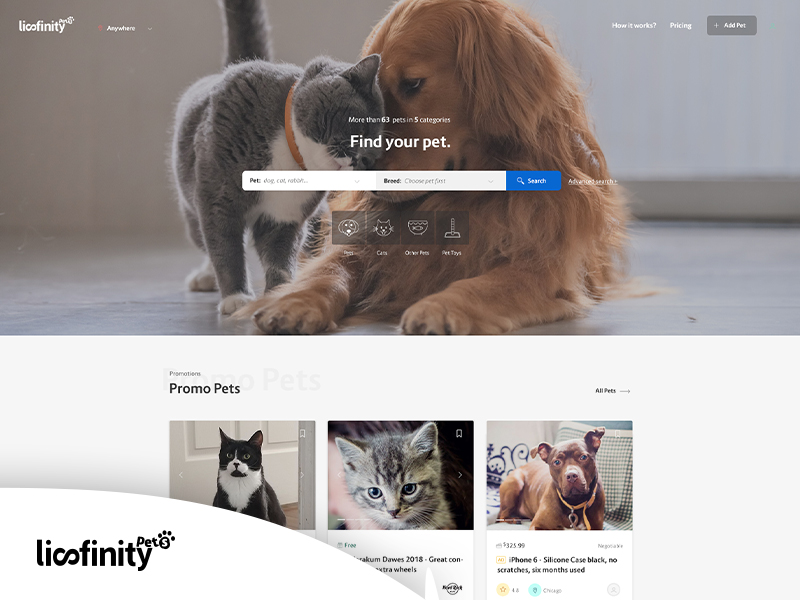 Classified Ads Wordpress Theme For All Classified Ads sites Lisfinity