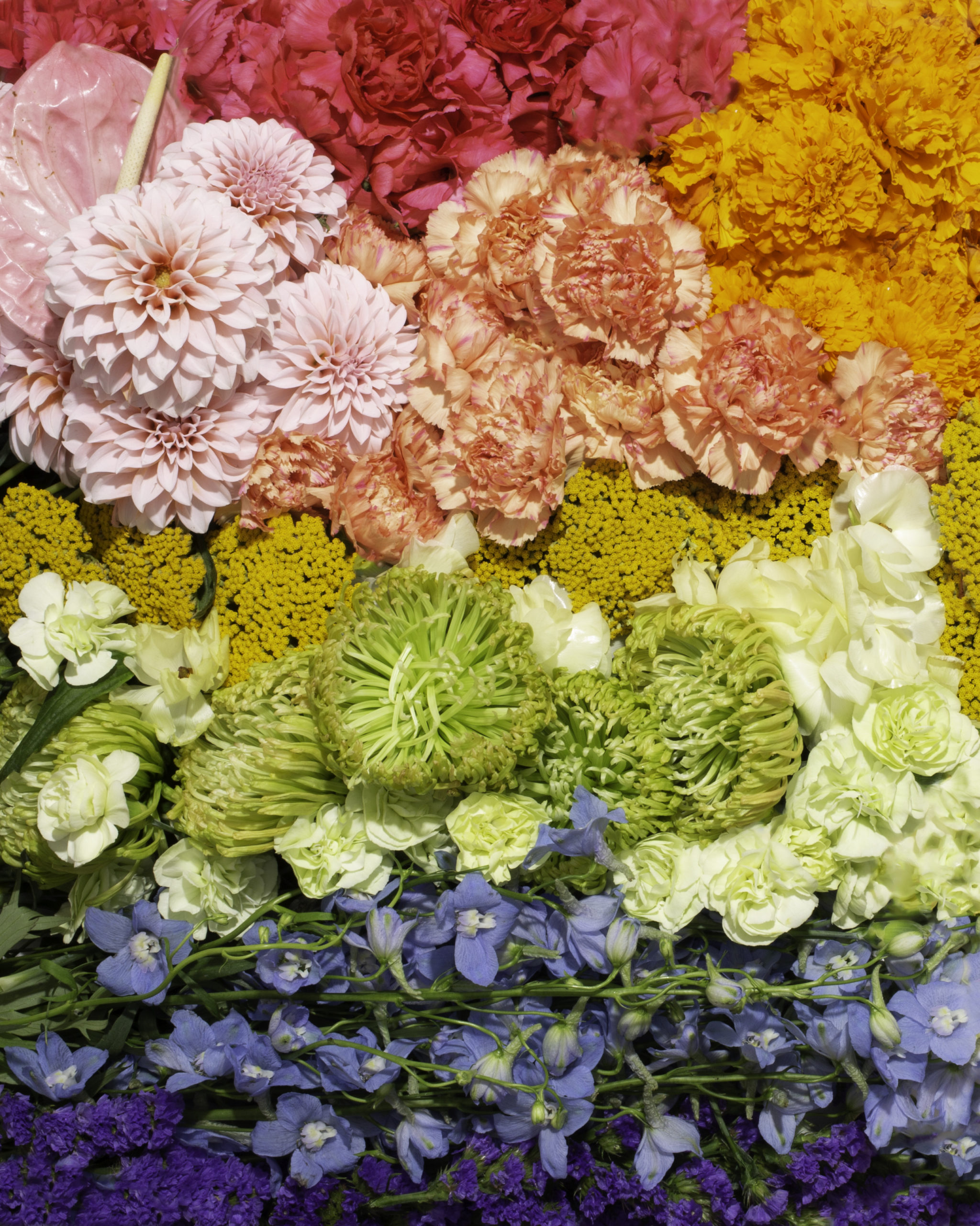 5 of the Best Places to Buy Flowers for Your Photoshoot LISH Creative