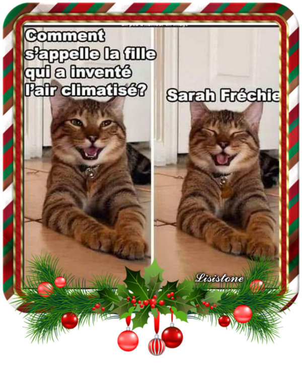 CHAT RIGOLE