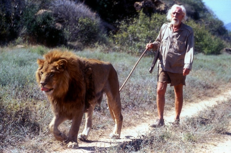 Best Human and Animal Relationships Movies list