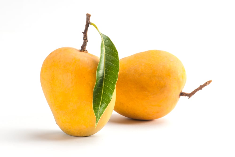 Top 10 Mango Varieties and Types Mango List Listaka