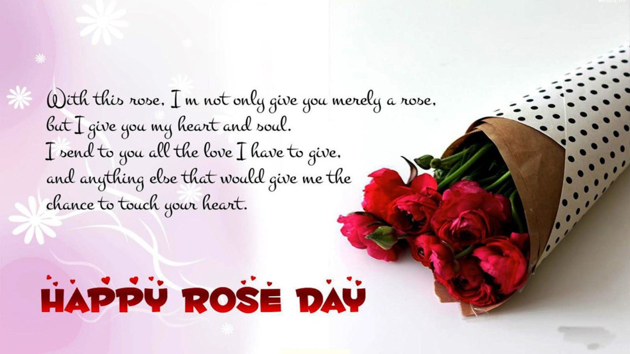50 Happy Rose Day 2022 Messages with Images List Bark