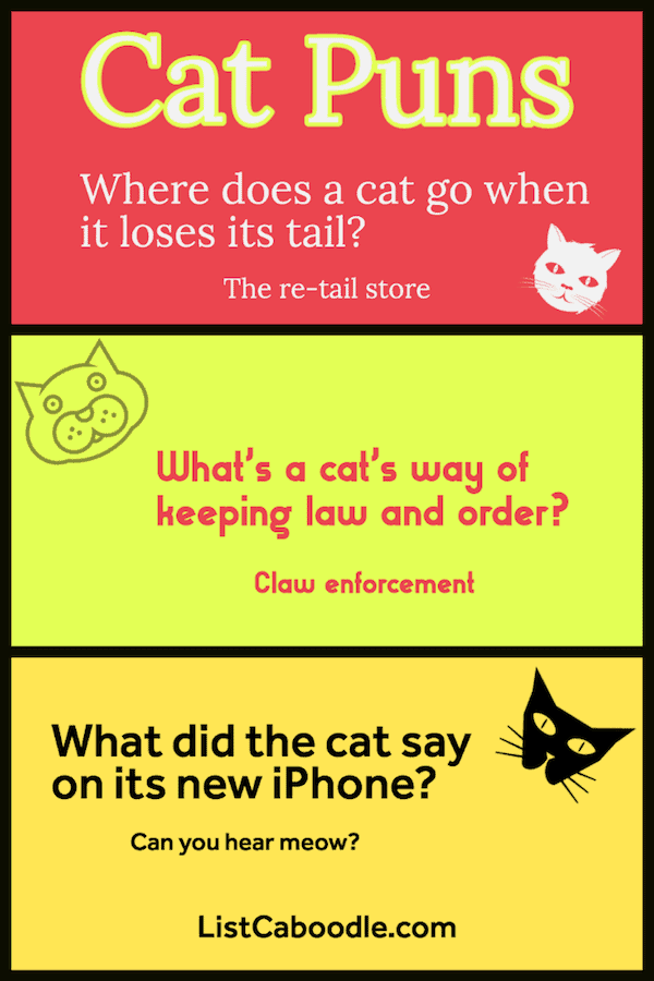 57 Funny Cat Puns That Will Have You Feline Good ListCaboodle