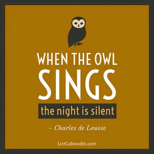 99+ Owl Quotes, Sayings, Captions (They're a Hoot!) ListCaboodle