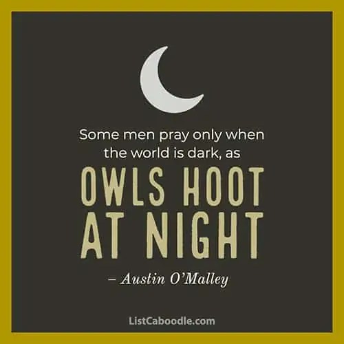 99+ Owl Quotes, Sayings, Captions (They're a Hoot!) ListCaboodle