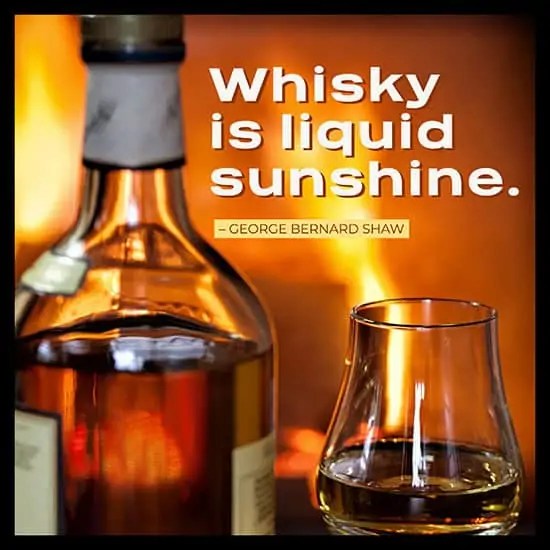 100+ Whiskey Quotes (To Soothe The Soul) ListCaboodle