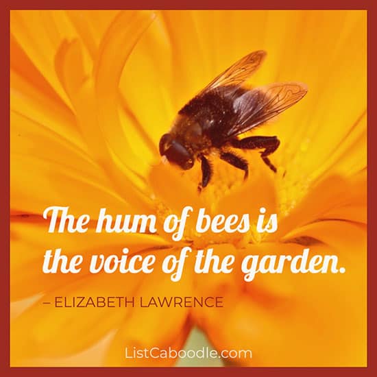101+ Best Bee Quotes, Captions (For Bee Lovers!) ListCaboodle