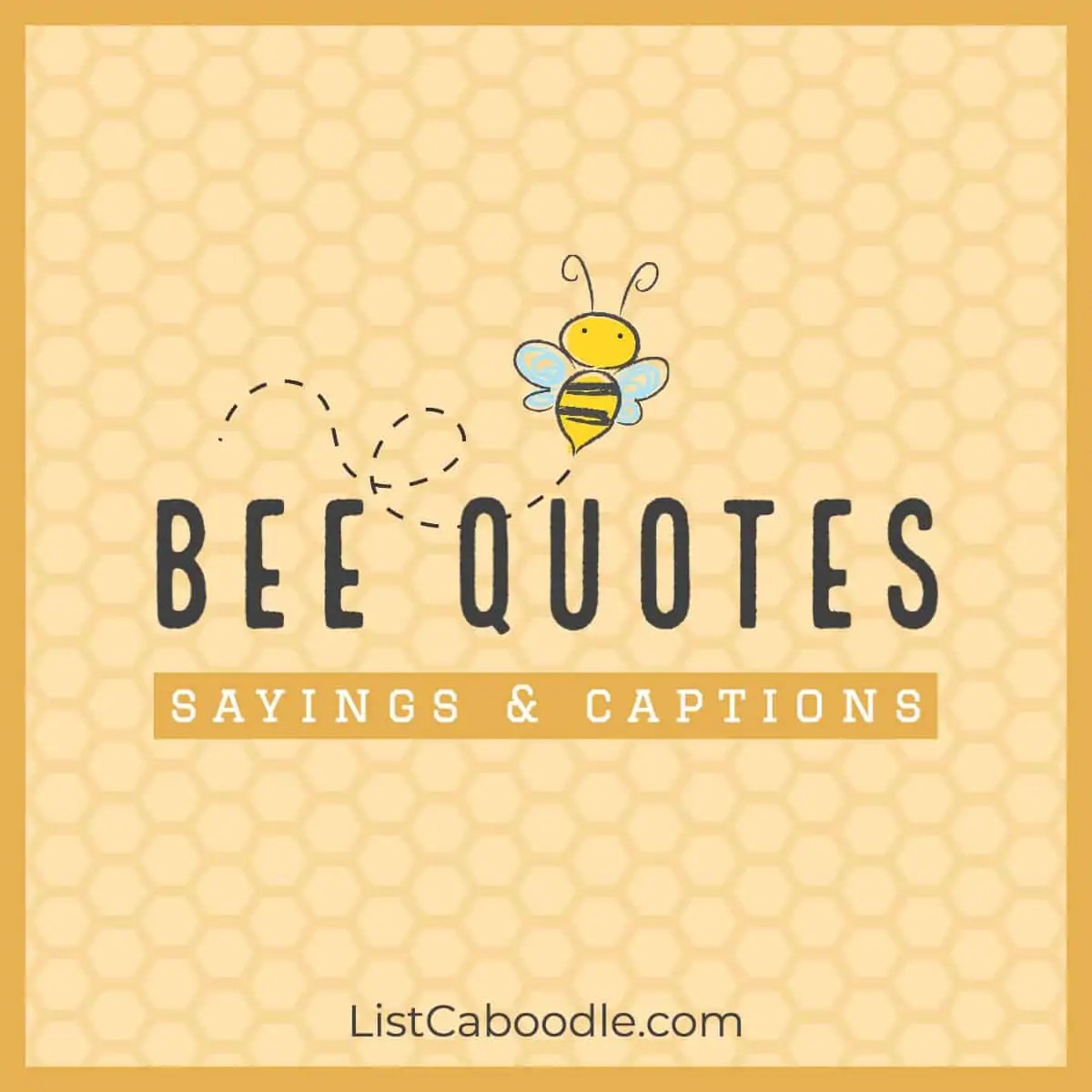 101+ Best Bee Quotes, Captions (For Bee Lovers!) ListCaboodle