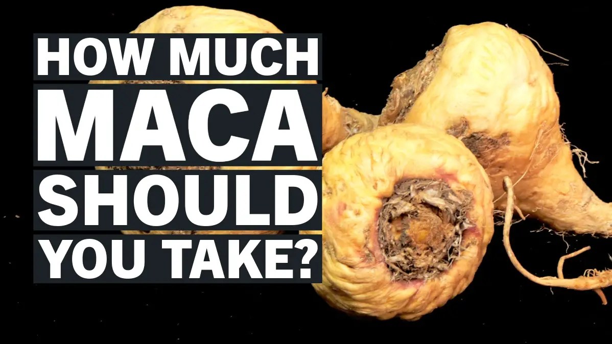 How Much Maca Root Per Day? A Friendly Guide to Optimal Dosage ListedFit