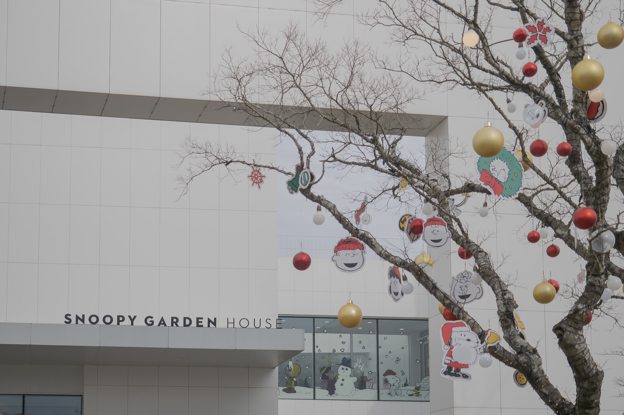 濟州島景點｜濟州市｜【史努比庭園】(스누피가든)。被SNOOPY與朋友們包圍的療癒樂園 Listen to LU 旅食光