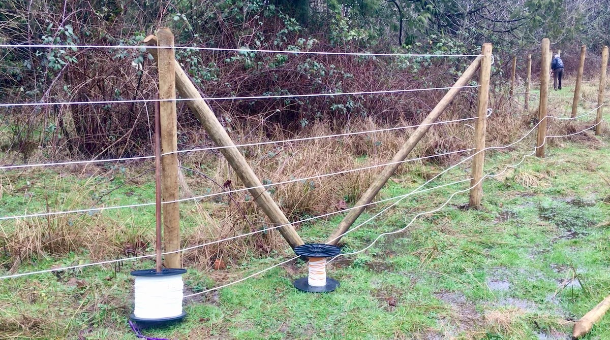 Fencing Pros and Cons & The Best Horse Fence Listen To Your Horse