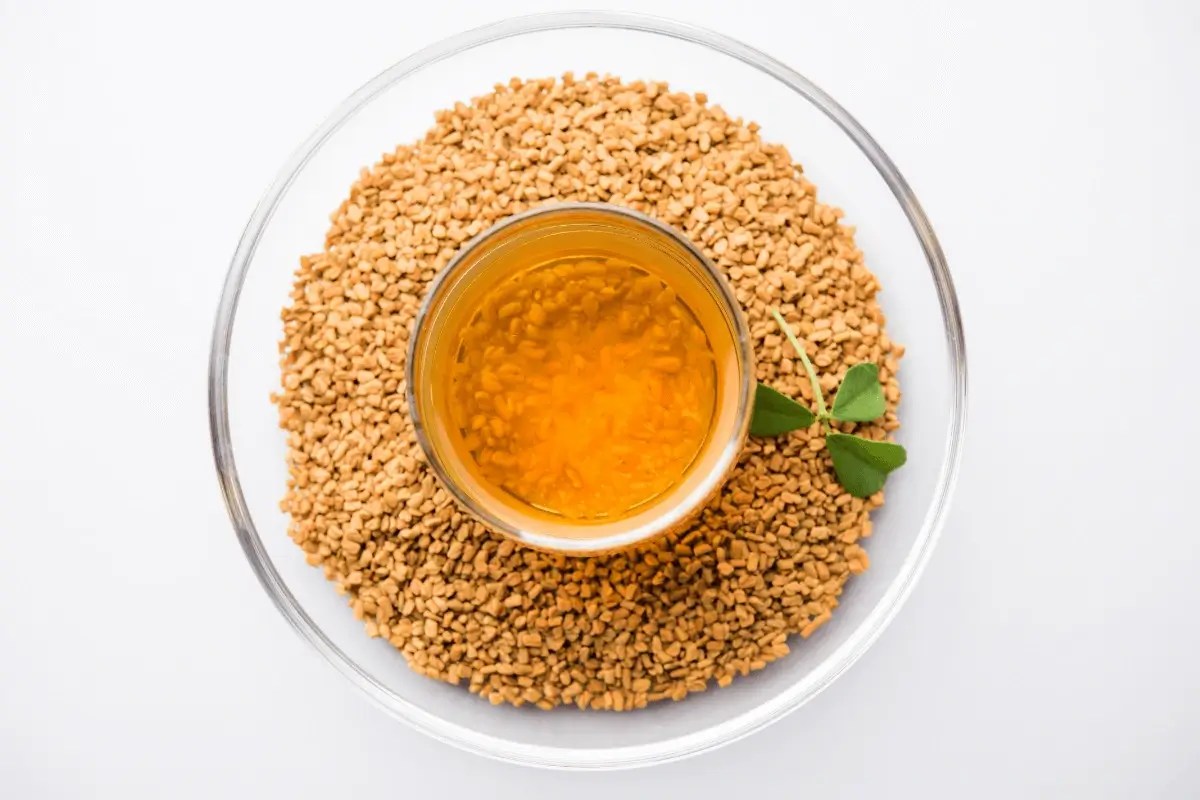Top 10 Drinks For IBS Listing Best