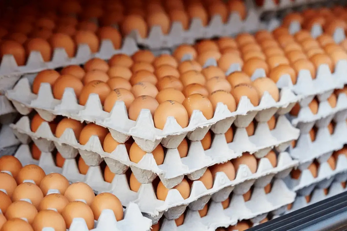 Top 10 Foods Rich In Zinc And Iron Listing Best