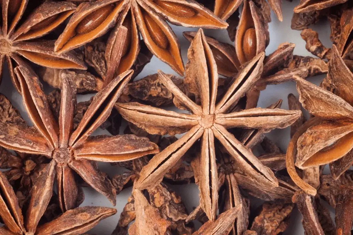 Top 10 Benefits of Anise Listing Best