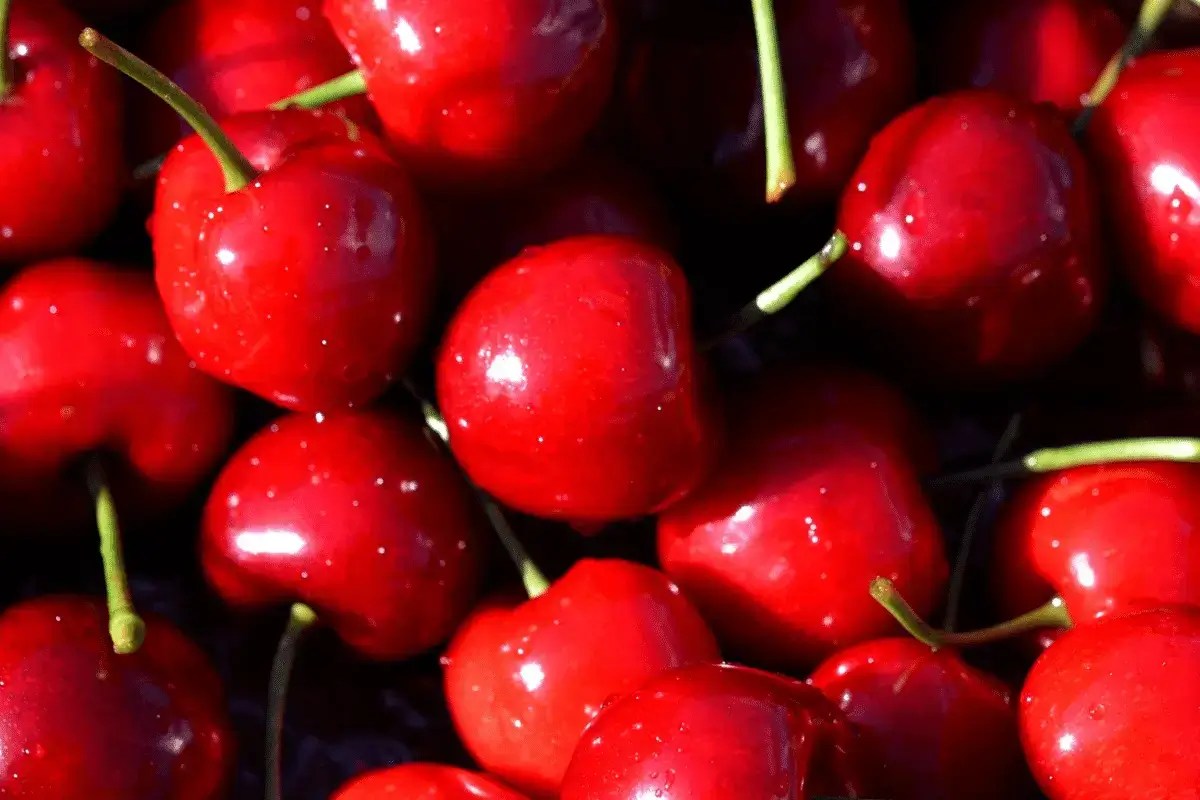 Top 10 Foods That Help You Sleep Listing Best