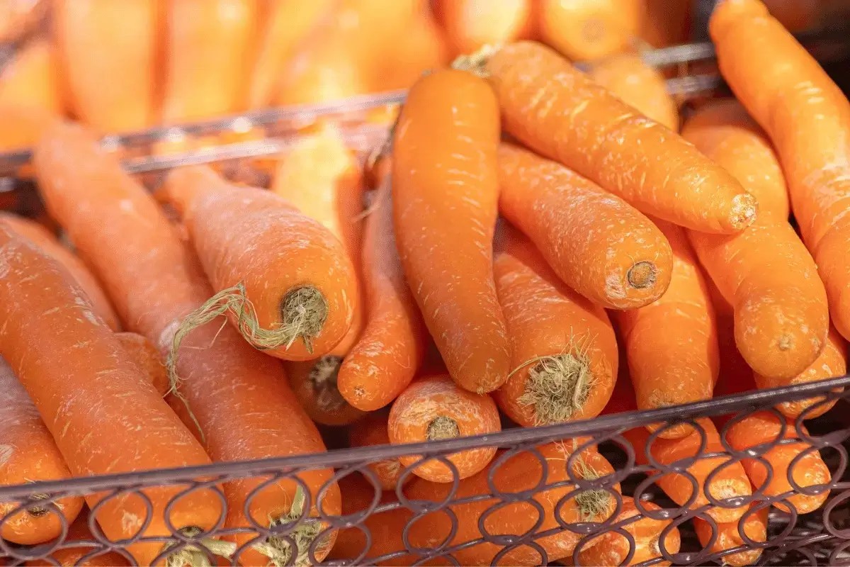 Top 10 Vegetables For Constipation Listing Best