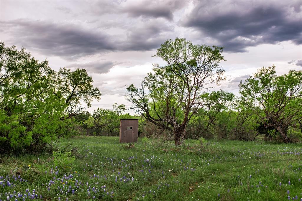 1200 Fm 3293, Voca, TX 76887