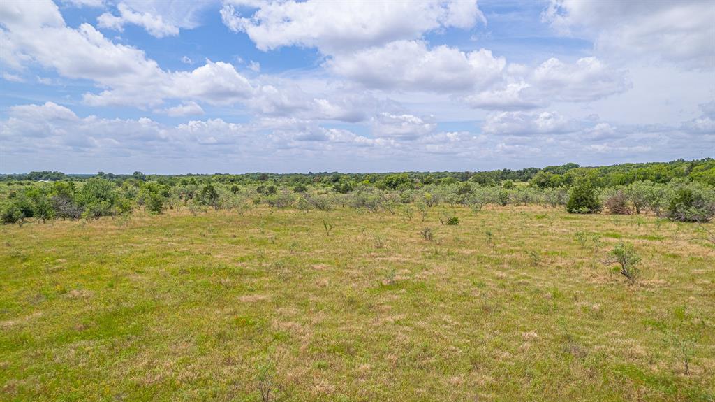 390 Lcr 902, Jewett, TX 75846