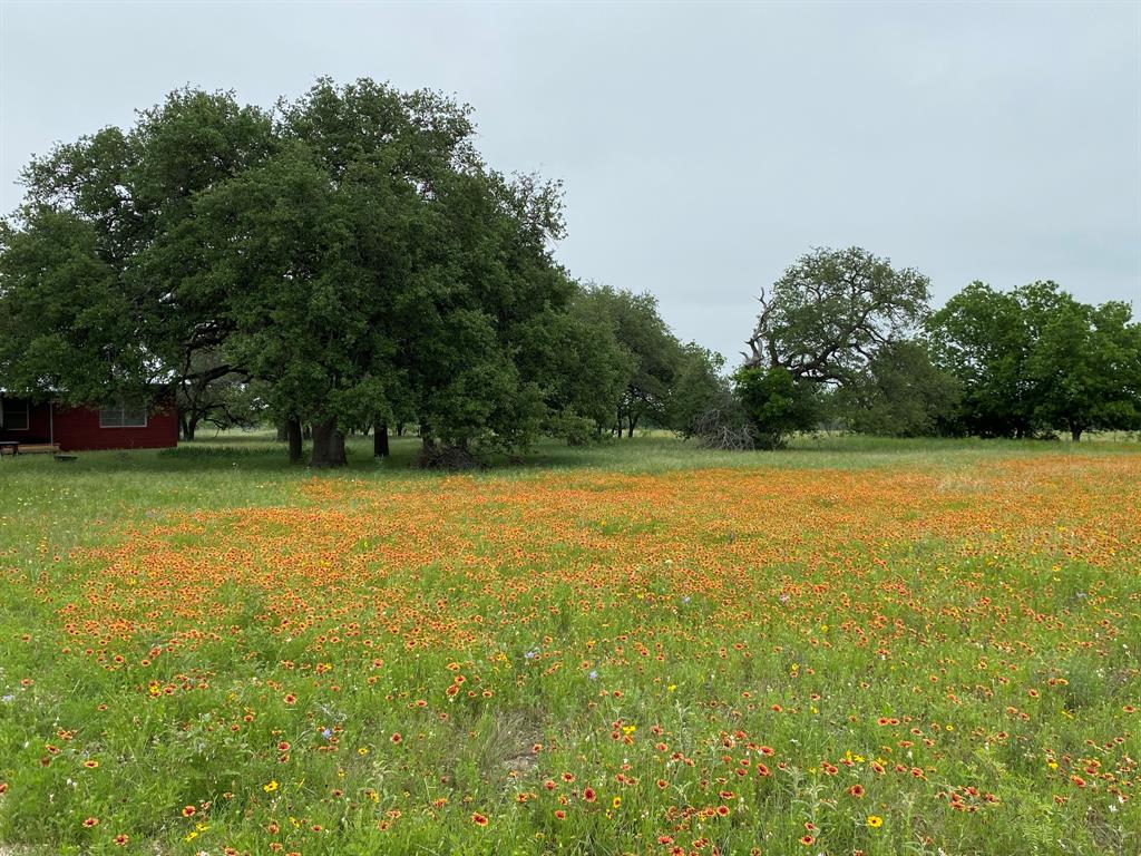 31 CR 617, Pottsville, TX 76565