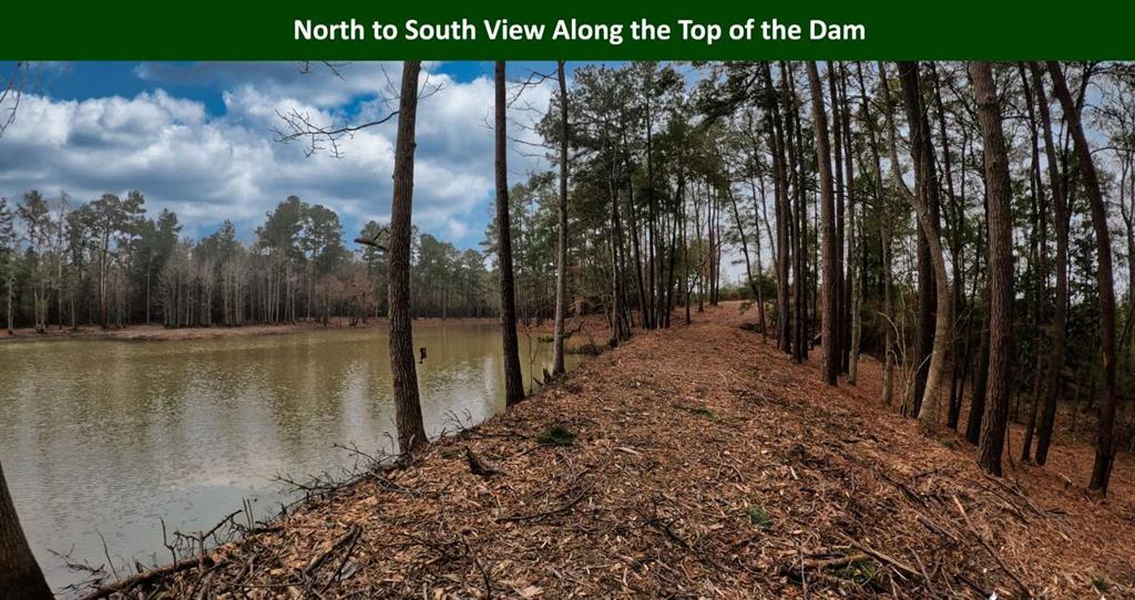 0 Private Road 6159 6150, Woodville, TX 75979