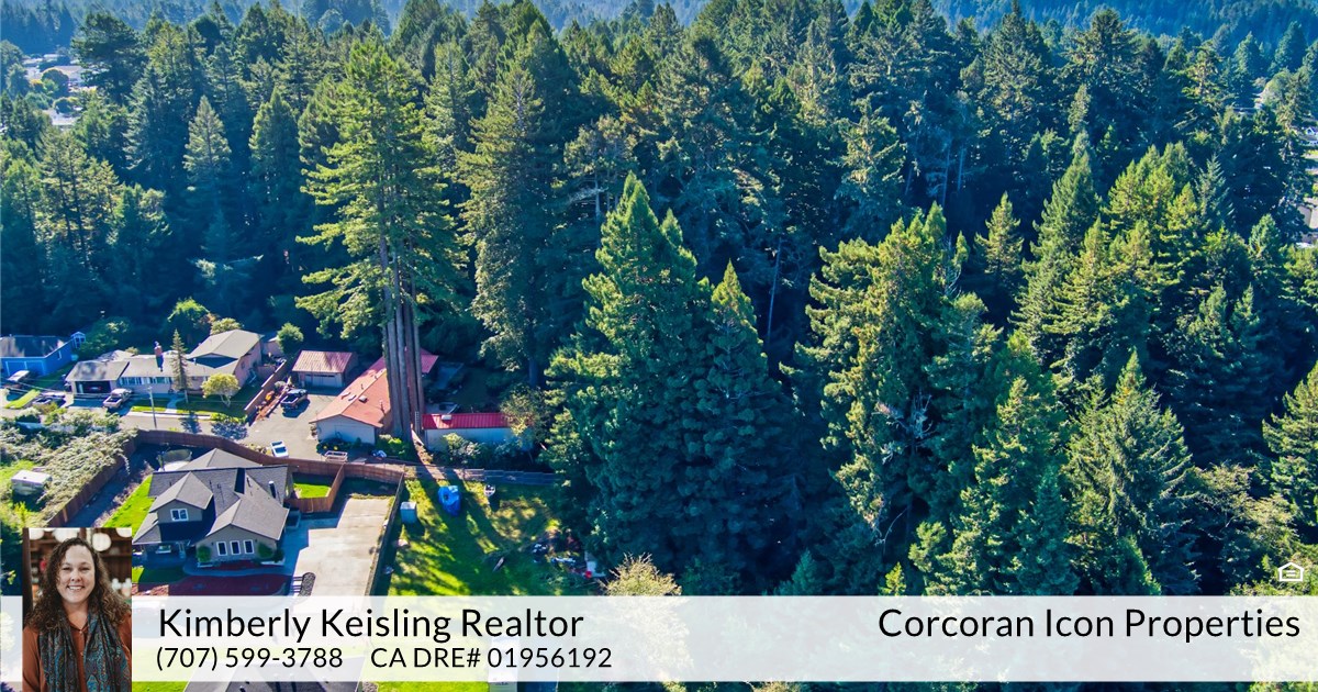 000 Osprey Lane , Eureka, CA 95503