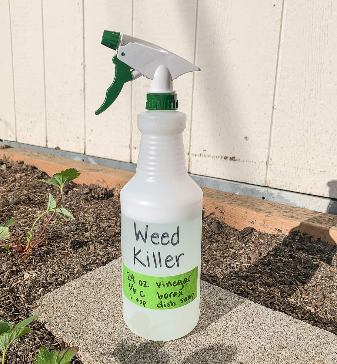 4 NonToxic Weed Killers for Your Yard List in Progress