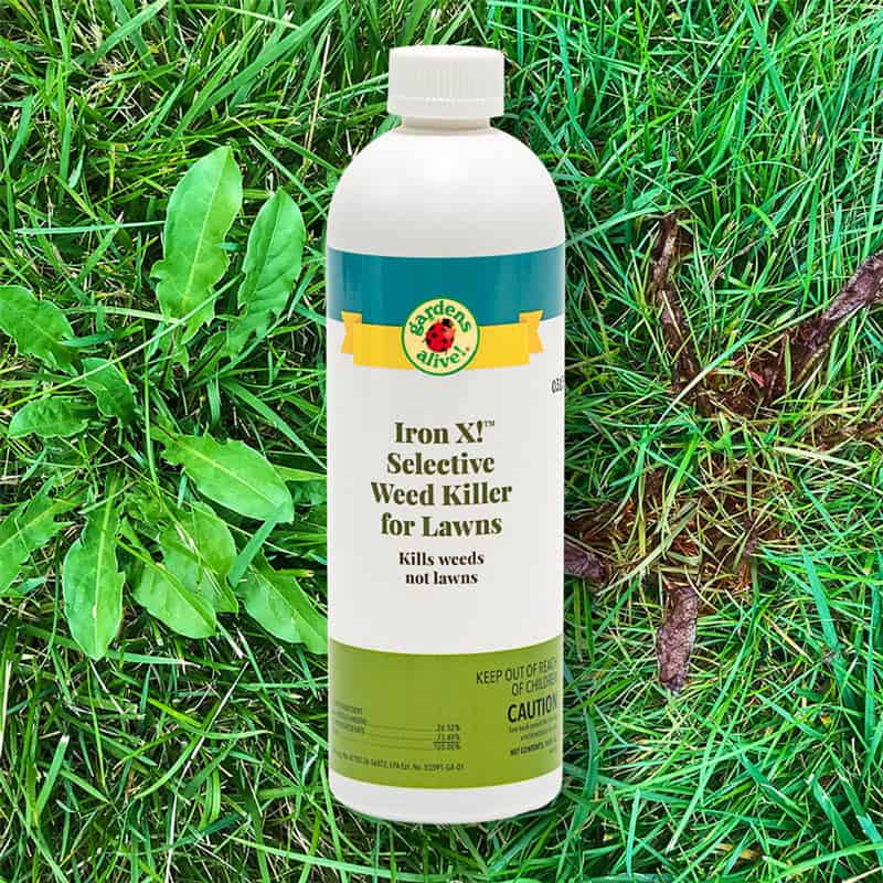 4 NonToxic Weed Killers for Your Yard List in Progress