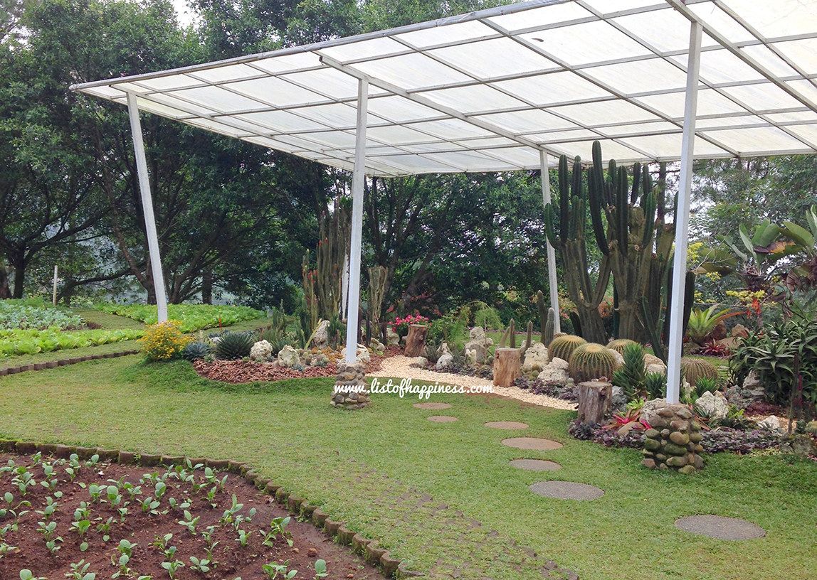 “Fun Relaxing” di Melrimba Garden List of Happiness