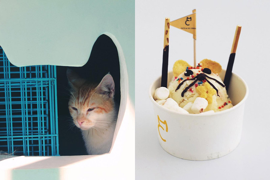 Menikmati Alam dan Mall Bersamaan List of Happiness