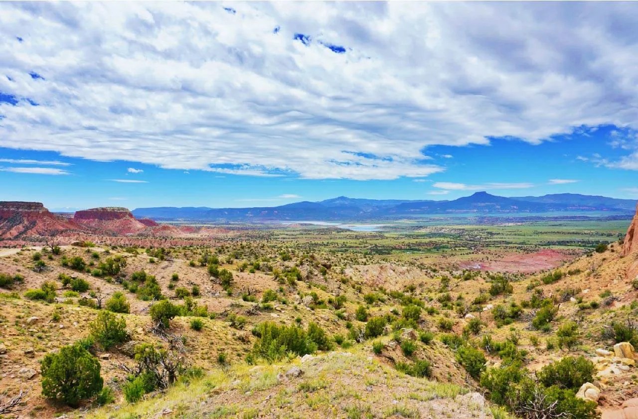 Top 396 New Mexico Baby Names 2024 Listophile