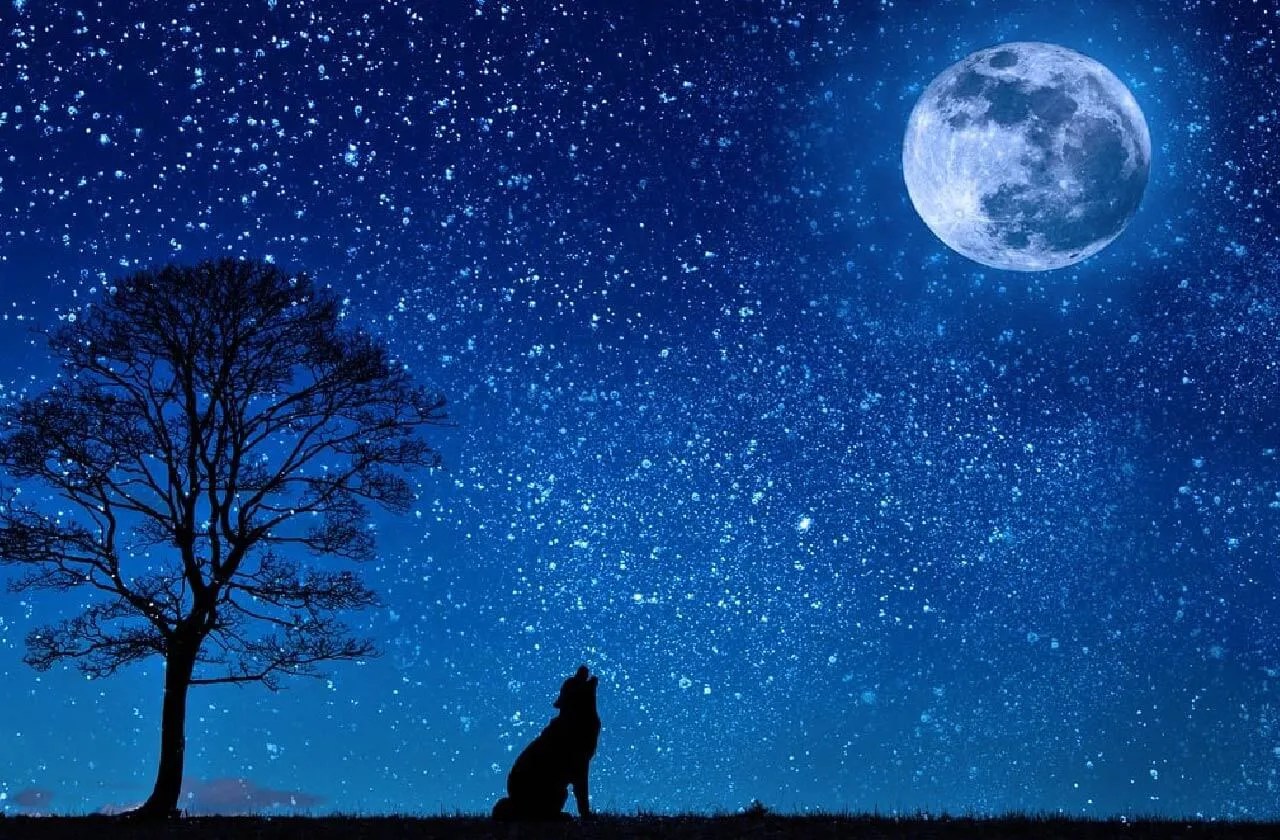 115 Names that Mean Night (Girls and Boys) Listophile