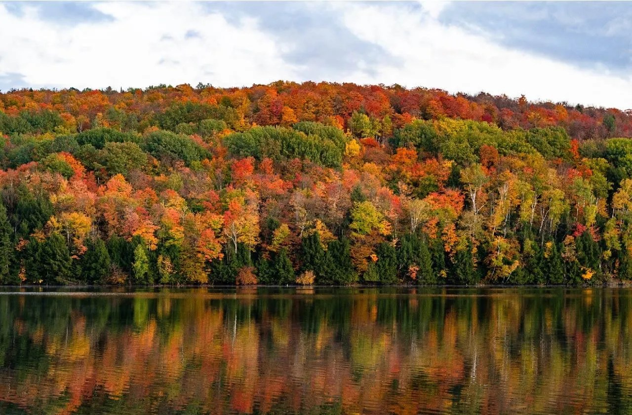 Top 132 Vermont Baby Names 2024 Listophile