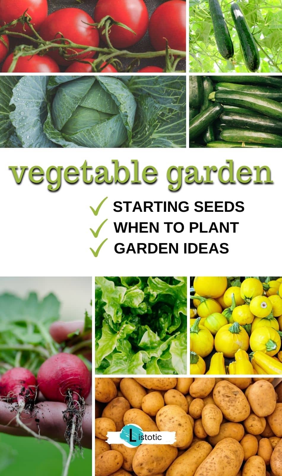 When To Plant Vegetable Garden Get Help and Garden Ideas ⋆ Listotic