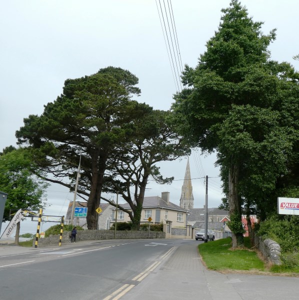 Memories, Listowel People and Ballygologue Park Listowel Connection