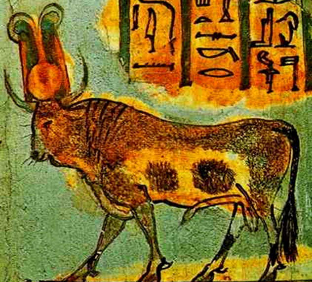 10 Animals Worshipped As Holy Listverse