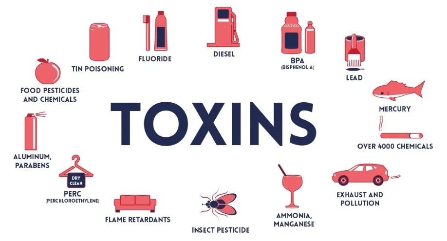 The Truth About Detoxification | Lita Senior | Health Detox