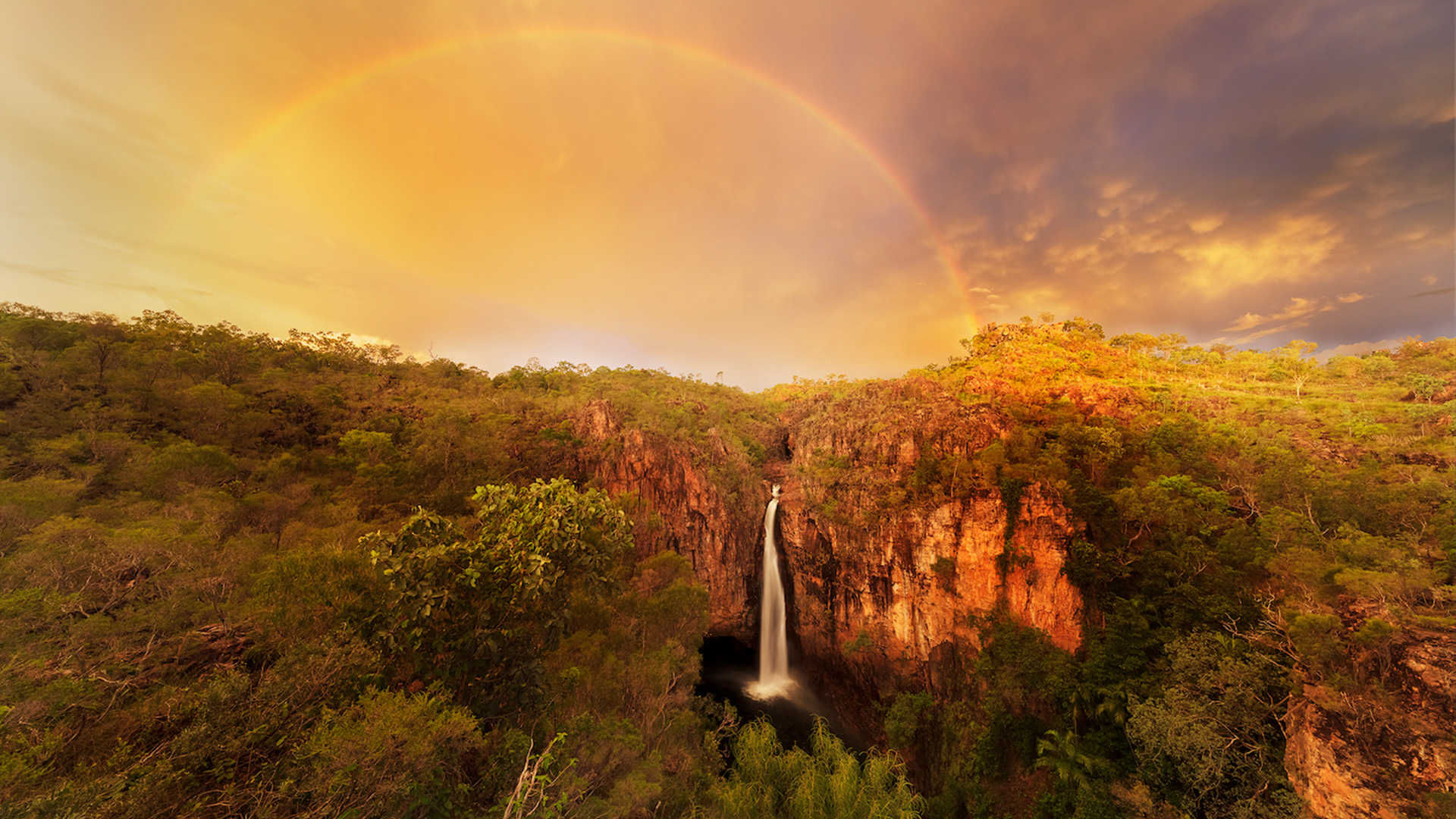 Explore Litchfield National Park Your Gateway to Adventure Litchy