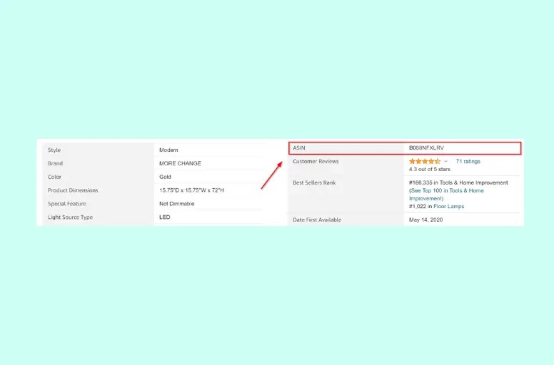 How to Get ASIN Number from Amazon [Sep 2024 ]
