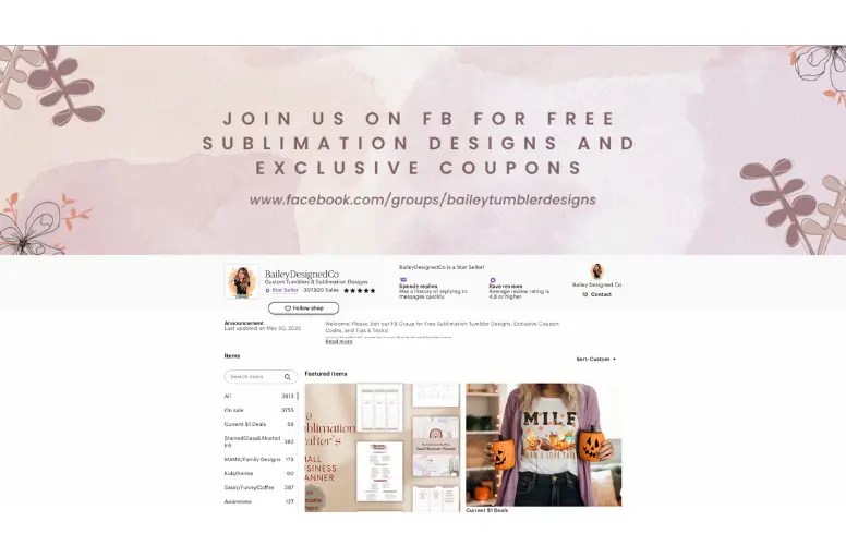 15 Successful Etsy Shops A Closer Look with Tips [Apr 2024 ]