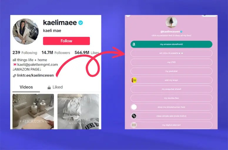 How To Add A Link To TikTok Bio An Easy Guide [Sep 2024 ]