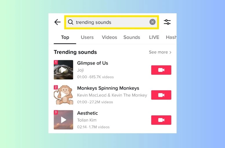 How to Make a TikTok Video Guide for Beginners [Sep 2024 ]