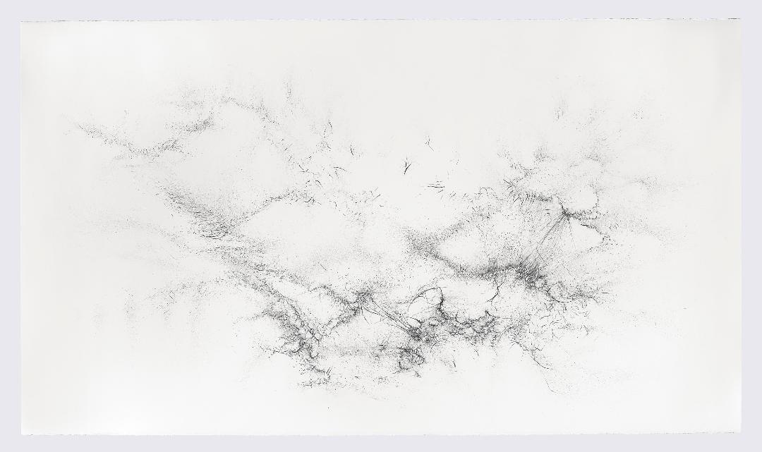 Gustavo Díaz the Fuzzy Garden Literal Magazine