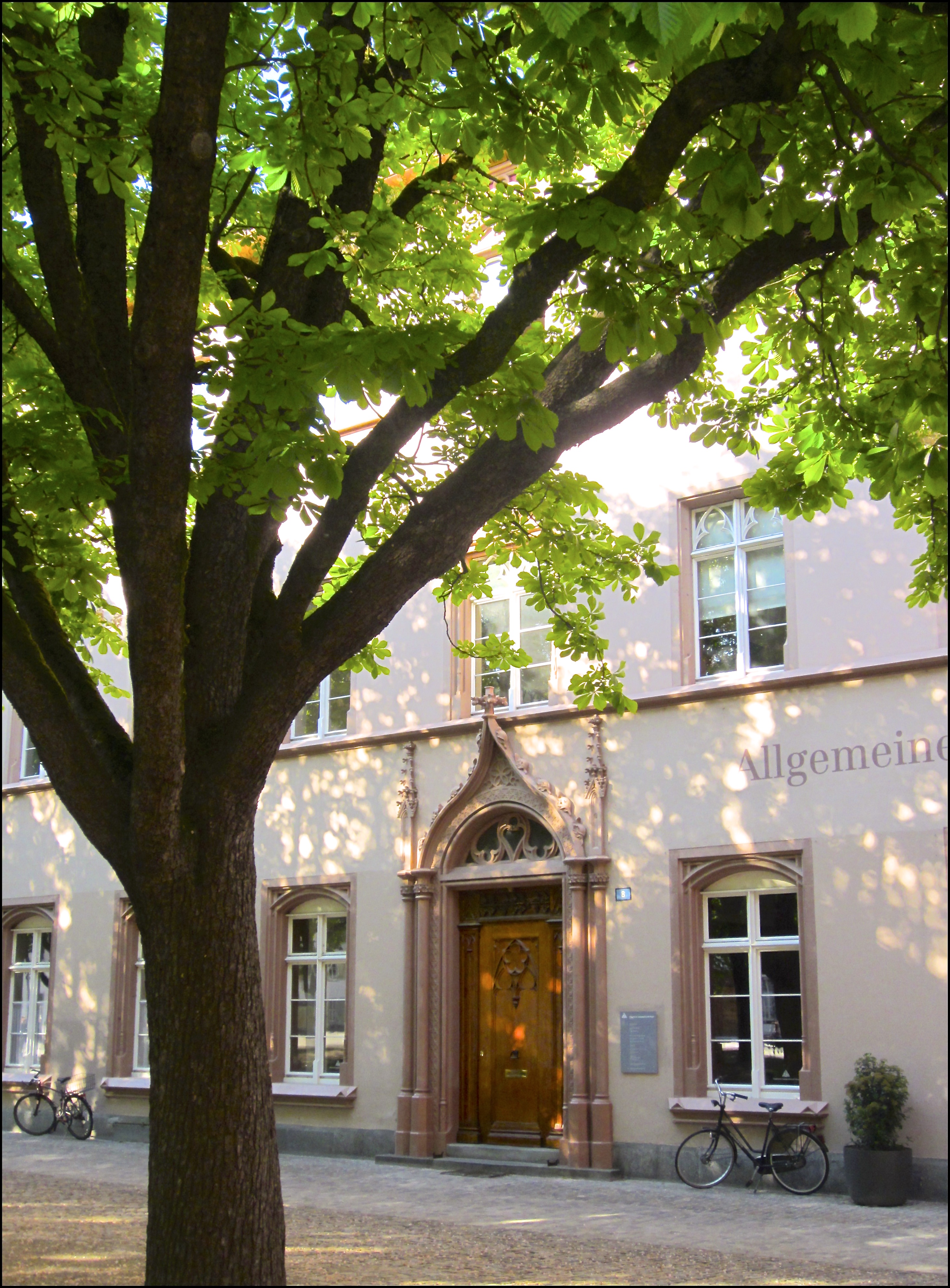 IMG_6597 - Literaturecho