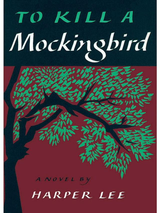 Summary of Novel To Kill a Mockingbird in 11 Lines Read Now Literopedia