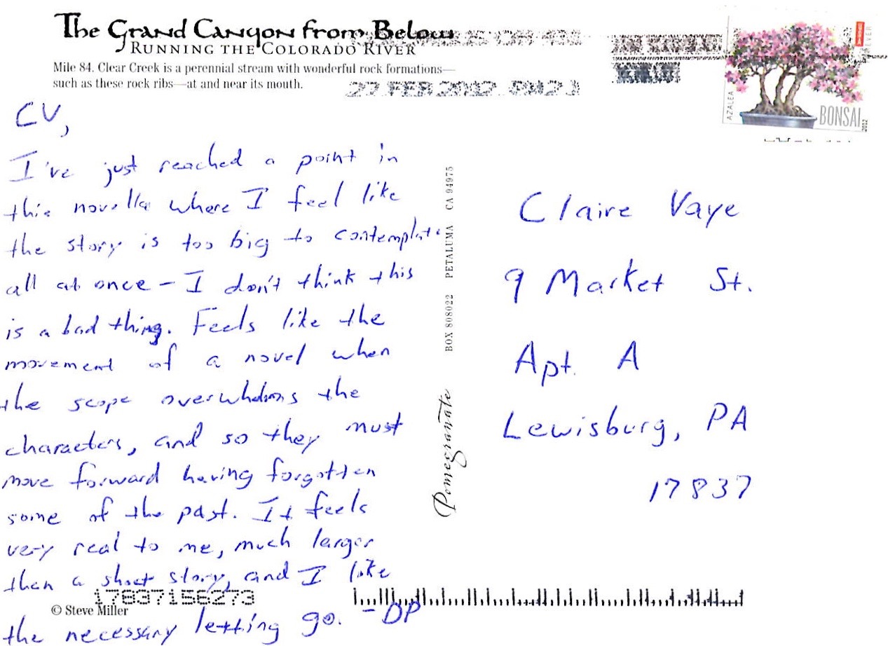 Postcards to a Younger, Much Better Novelist Literary Hub