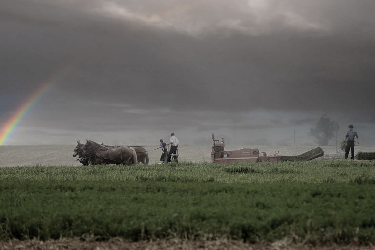 Bike Rentals Lancaster County PA Lititz Bike Works