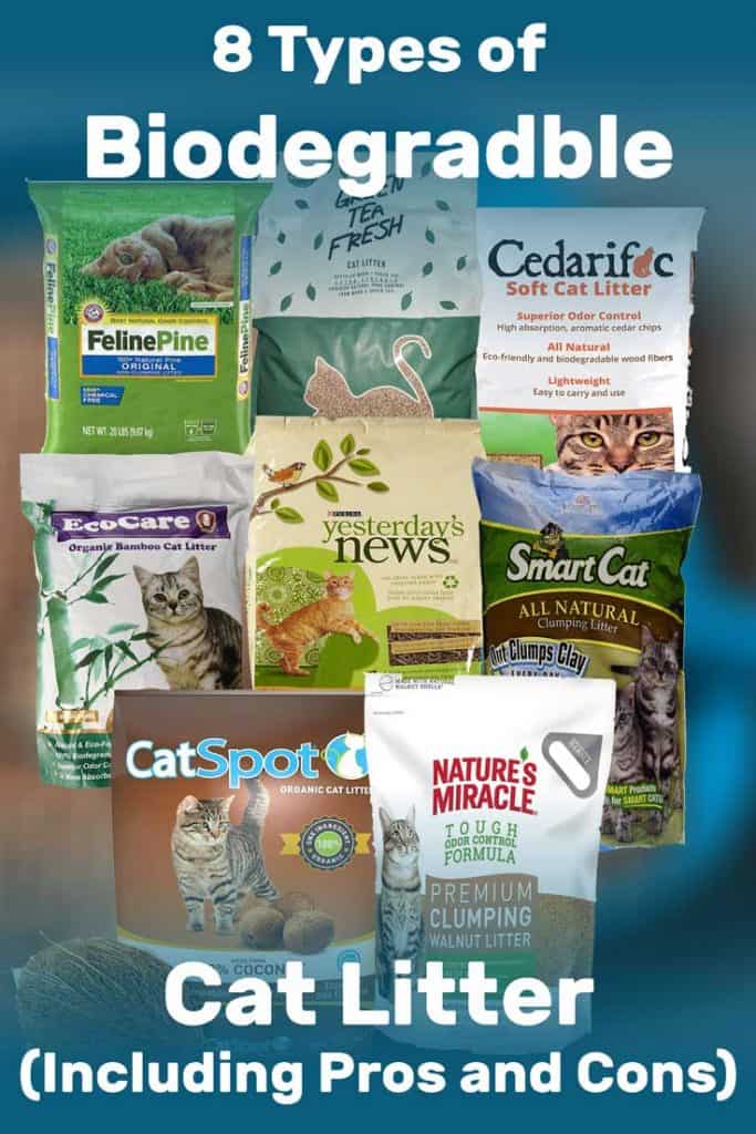 8 Types of Biodegradable Cat Litter (Including Pros and Cons) Litter