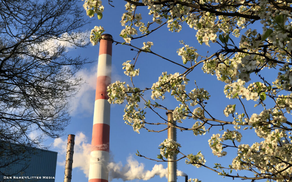 Pixelle Sells Paper Mills Including Chillicothe Plant Litter MediaLitter Media